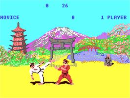 In game image of The Way of the Exploding Fist on the Commodore 64.