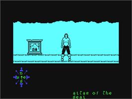 In game image of Tir Na Nog on the Commodore 64.