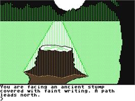 In game image of Transylvania on the Commodore 64.