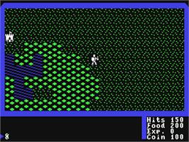 In game image of Ultima I: The First Age of Darkness on the Commodore 64.