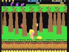 In game image of Wonder Boy on the Commodore 64.