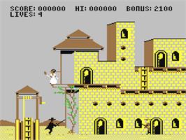 In game image of Zorro on the Commodore 64.