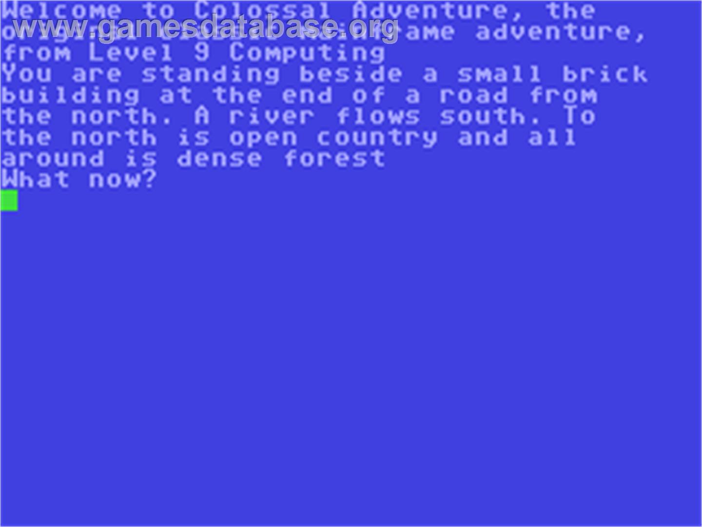 Colossal Adventure - Commodore 64 - Artwork - In Game