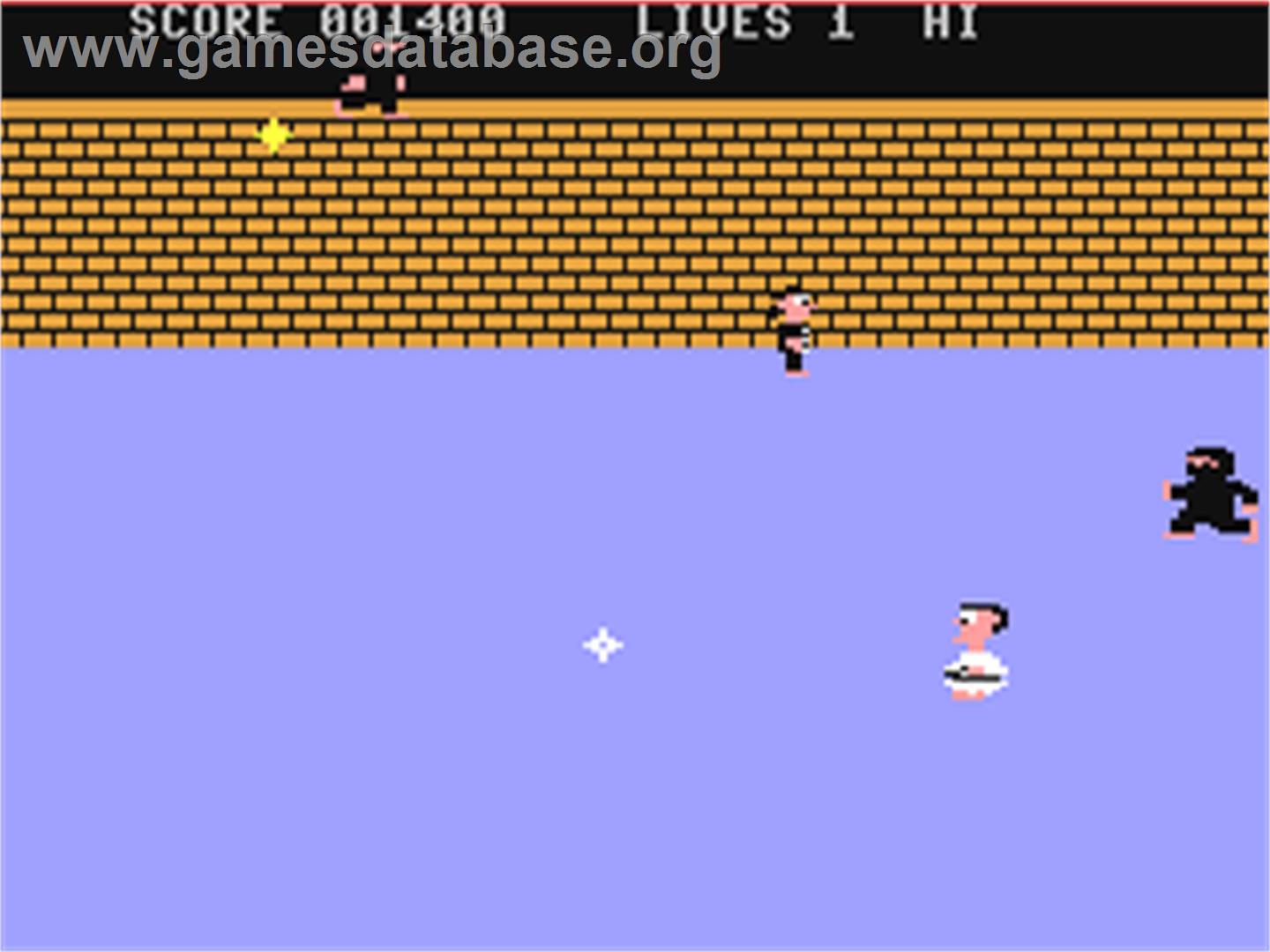 Enter the Ninja - Commodore 64 - Artwork - In Game
