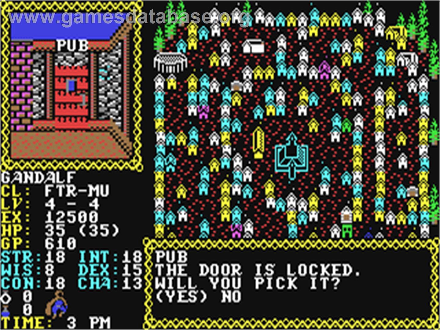 Hillsfar - Commodore 64 - Artwork - In Game