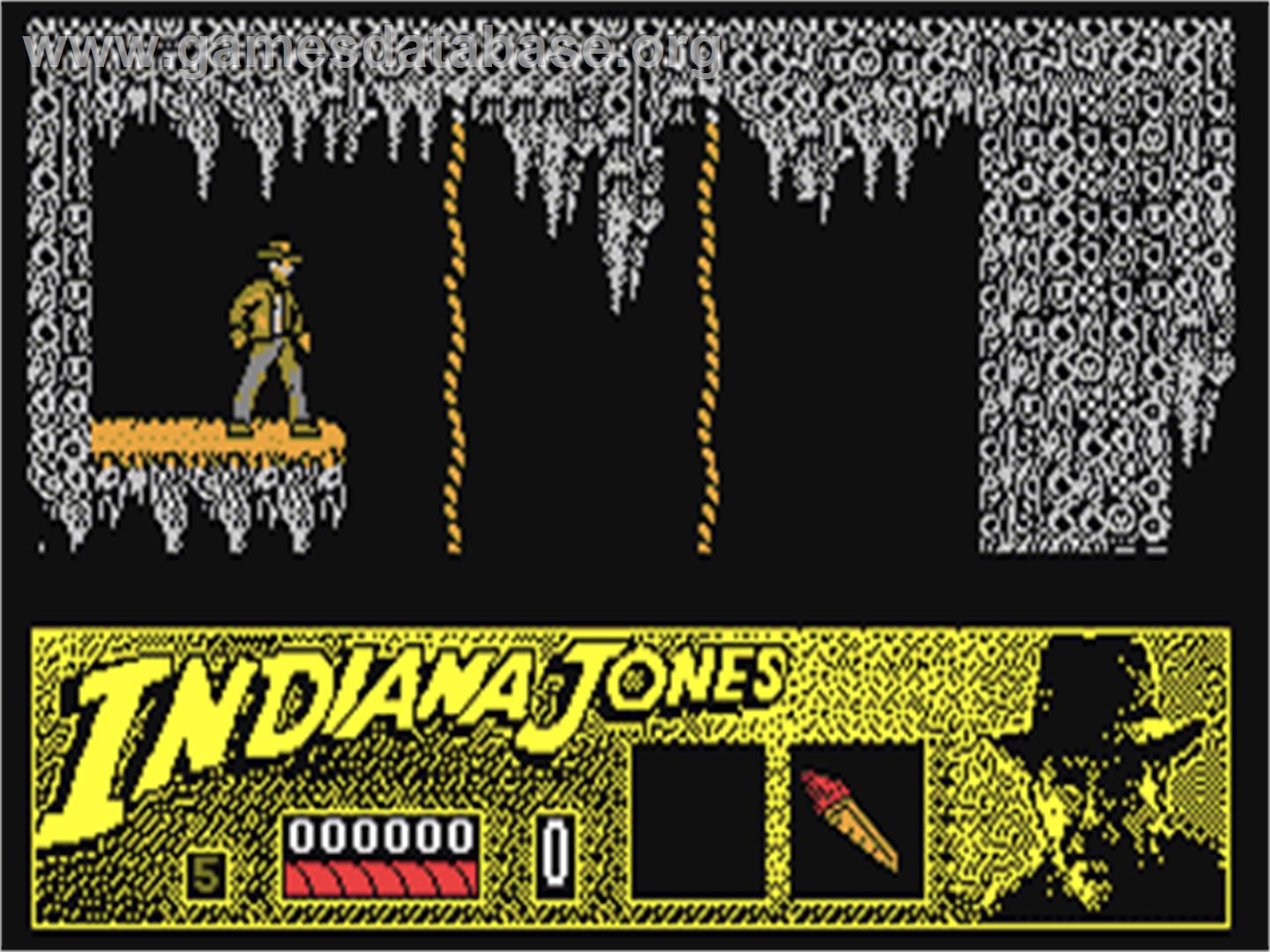 Indiana Jones and the Last Crusade: The Action Game - Commodore 64 - Artwork - In Game