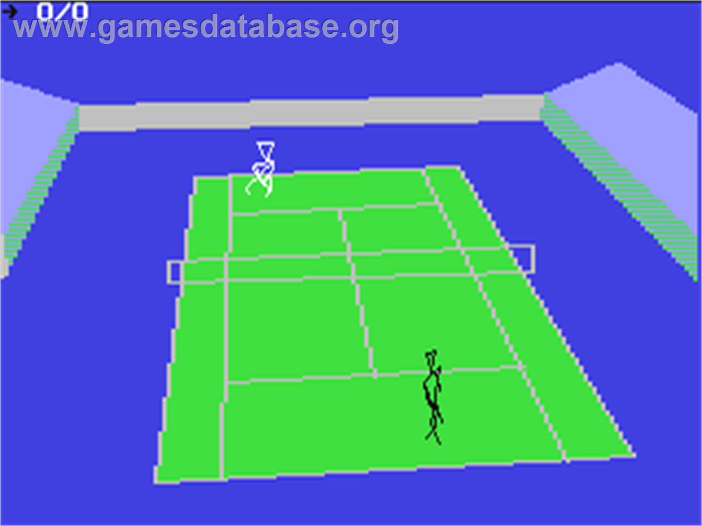 International 3D Tennis - Commodore 64 - Artwork - In Game