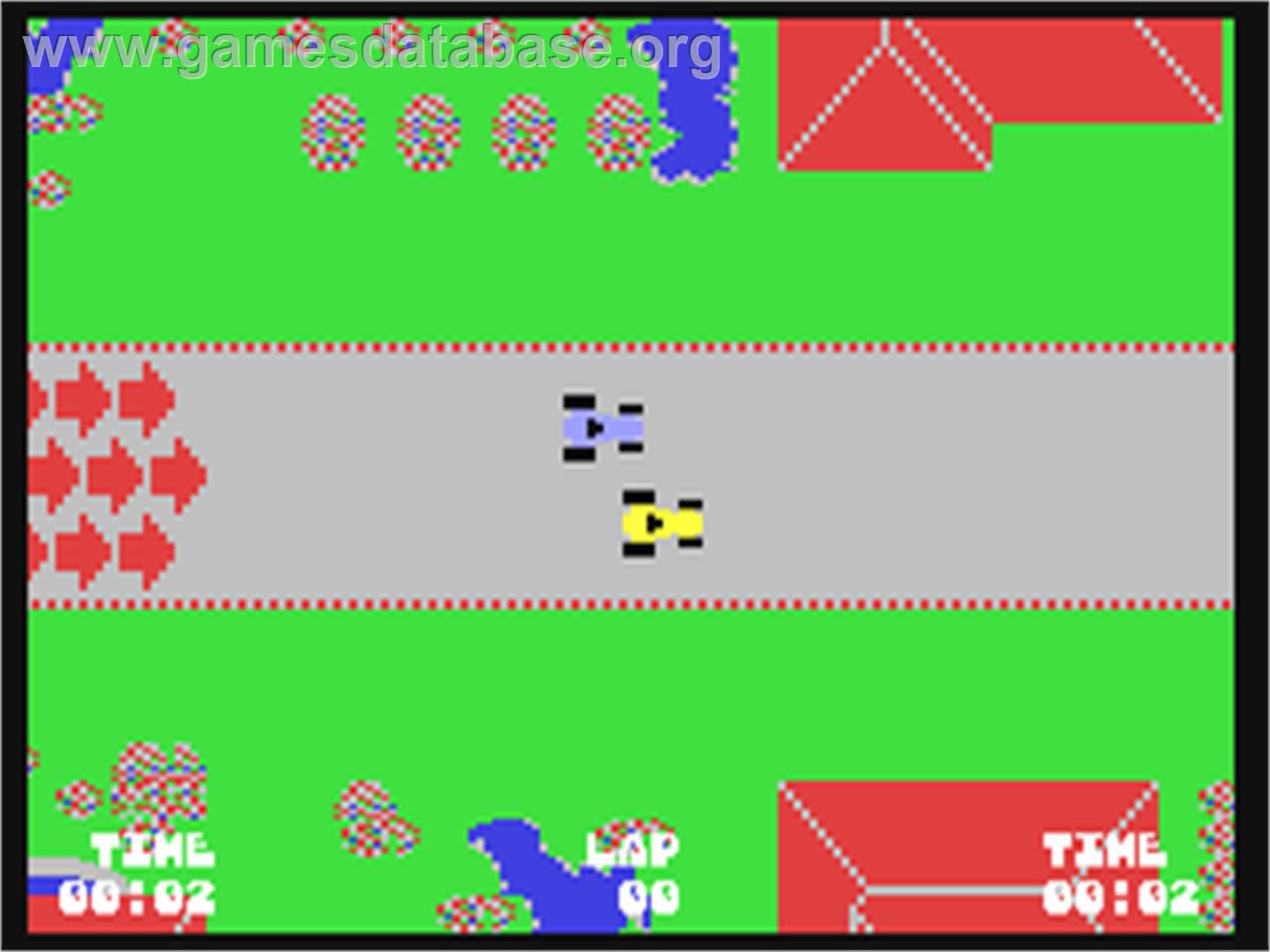 John Anderson's Rally Speedway - Commodore 64 - Artwork - In Game