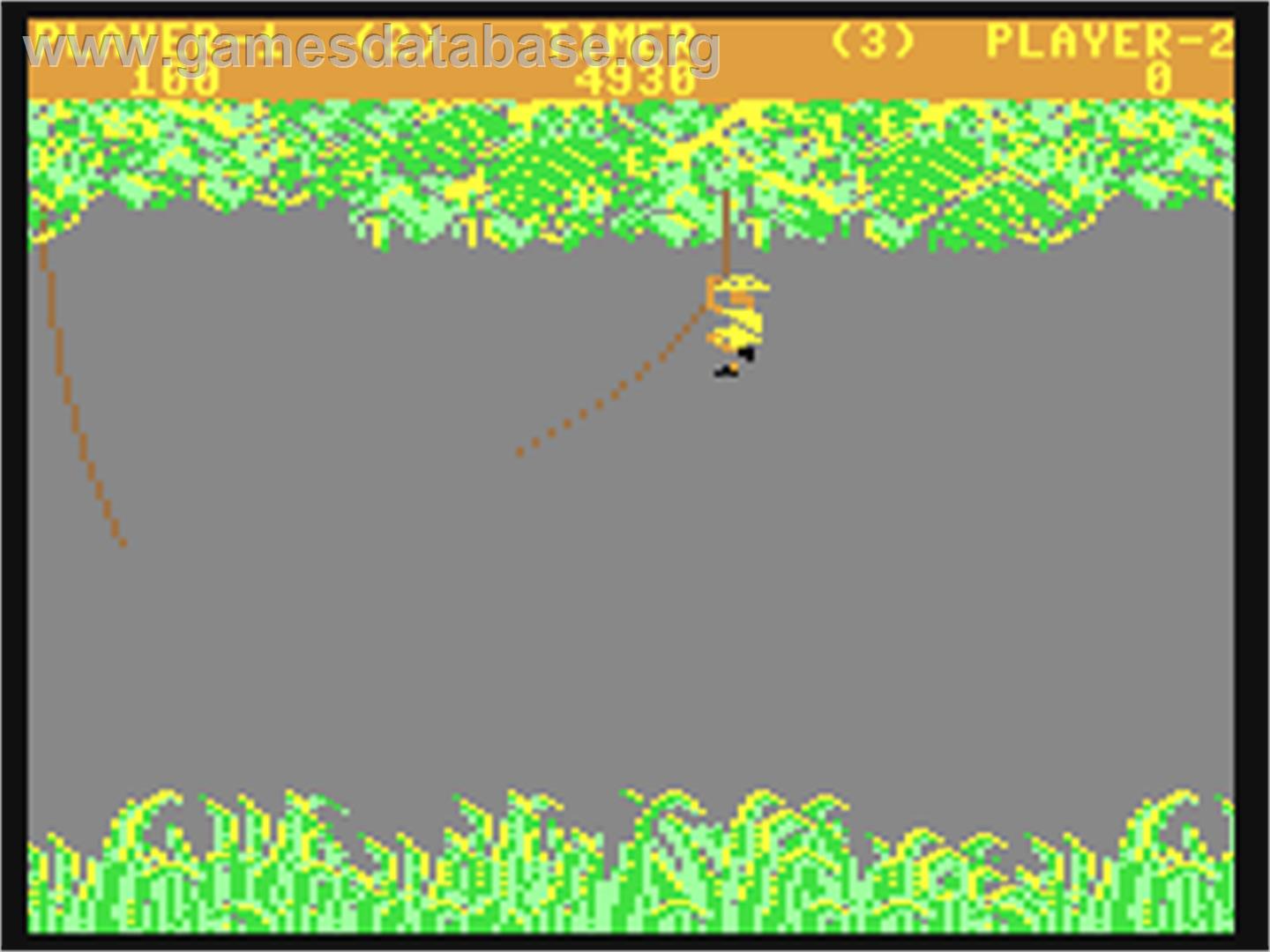 Jungle Hunt - Commodore 64 - Artwork - In Game