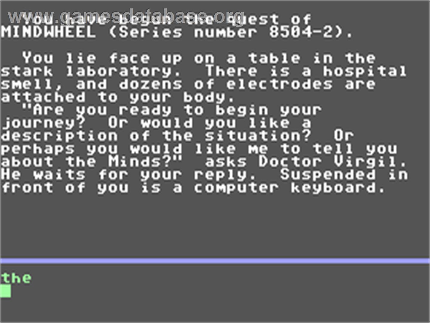 Mindwheel - Commodore 64 - Artwork - In Game