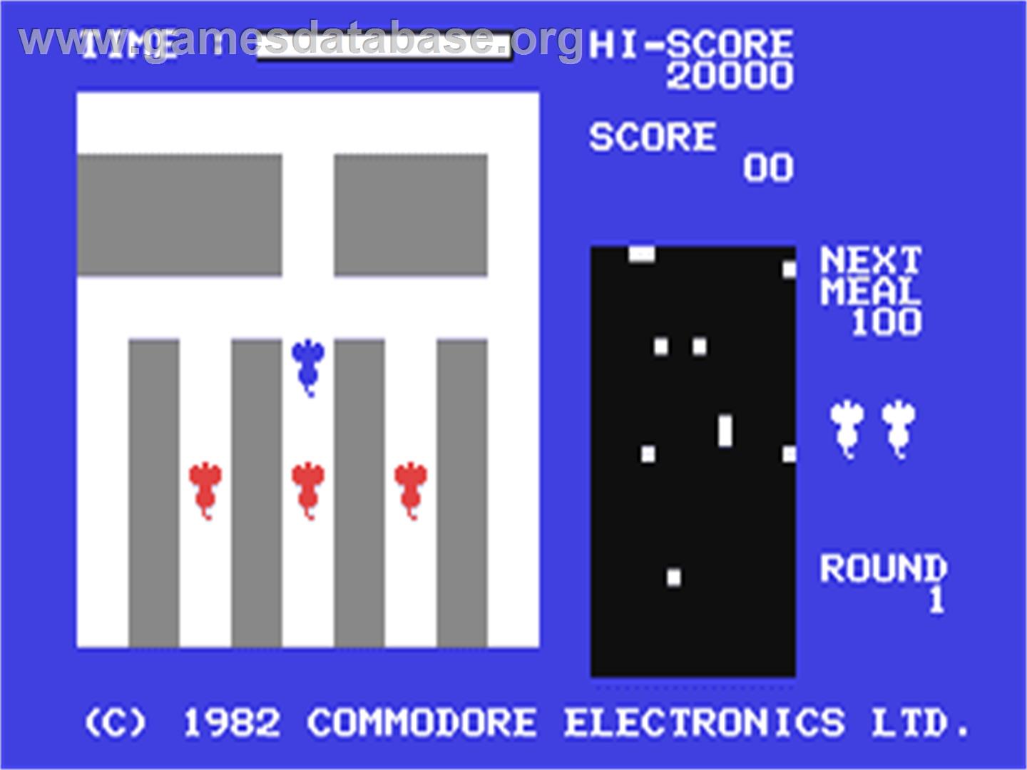 Radar Rat Race - Commodore 64 - Artwork - In Game