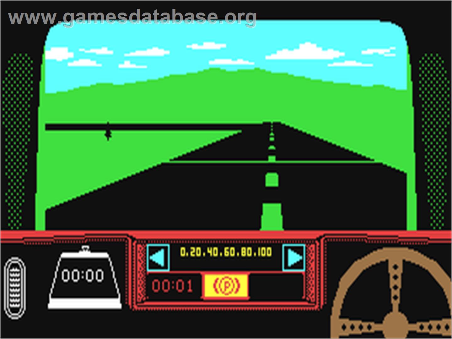 Rally Driver - Commodore 64 - Artwork - In Game