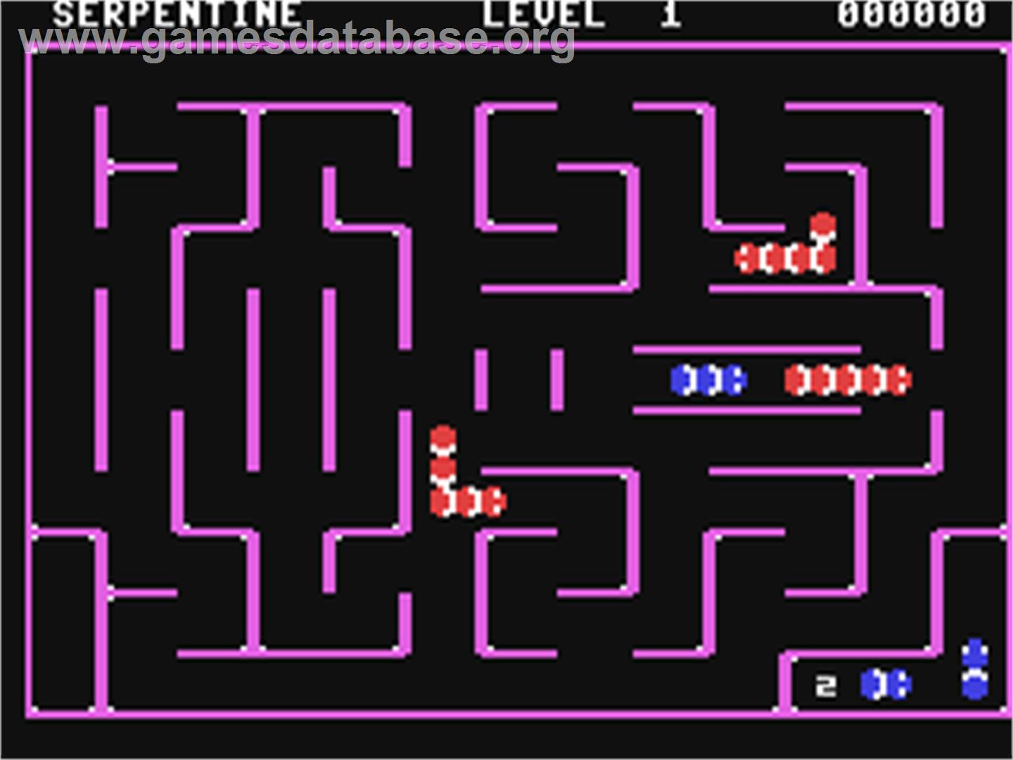 Serpentine - Commodore 64 - Artwork - In Game
