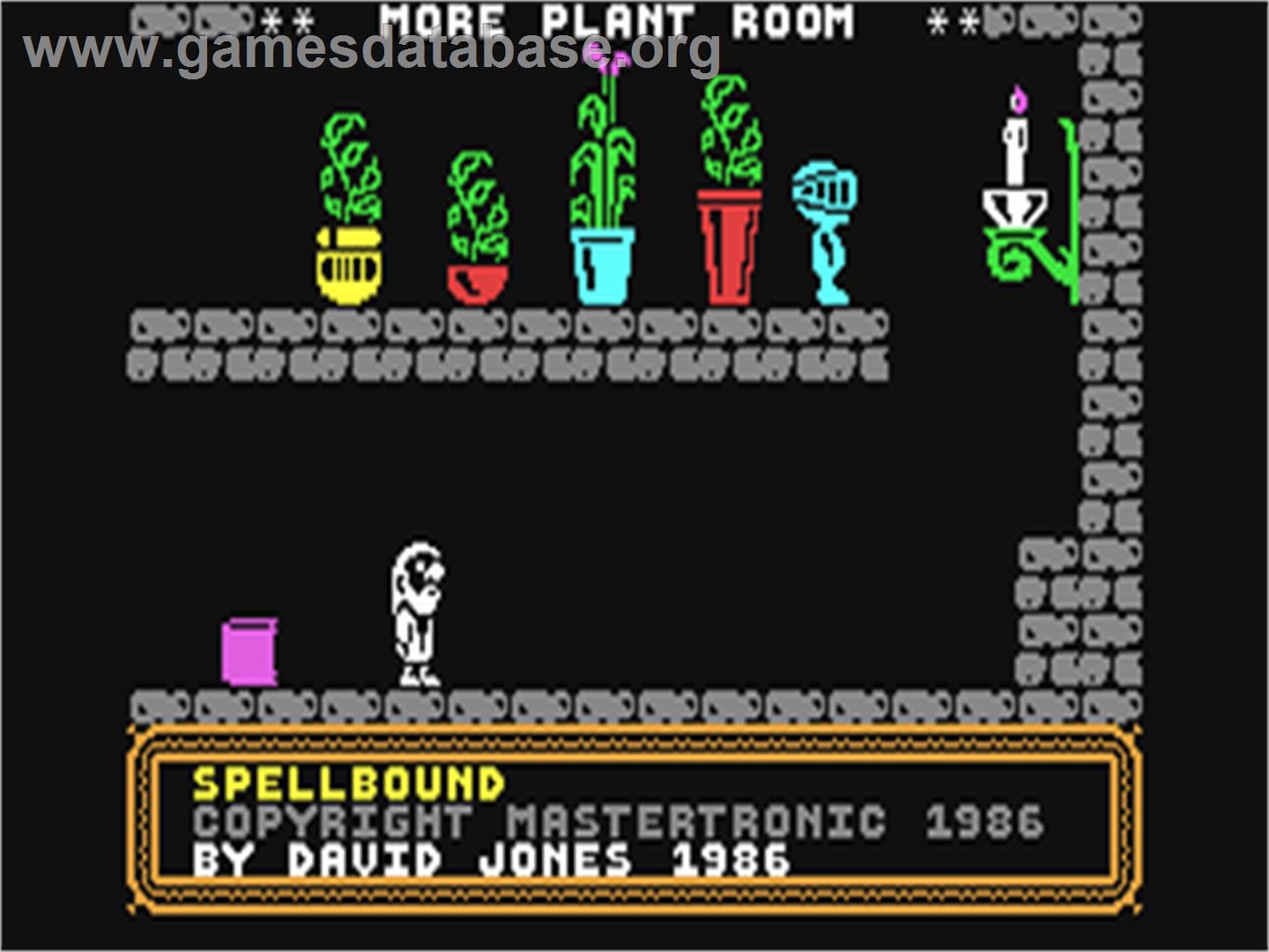 Spellbound - Commodore 64 - Artwork - In Game