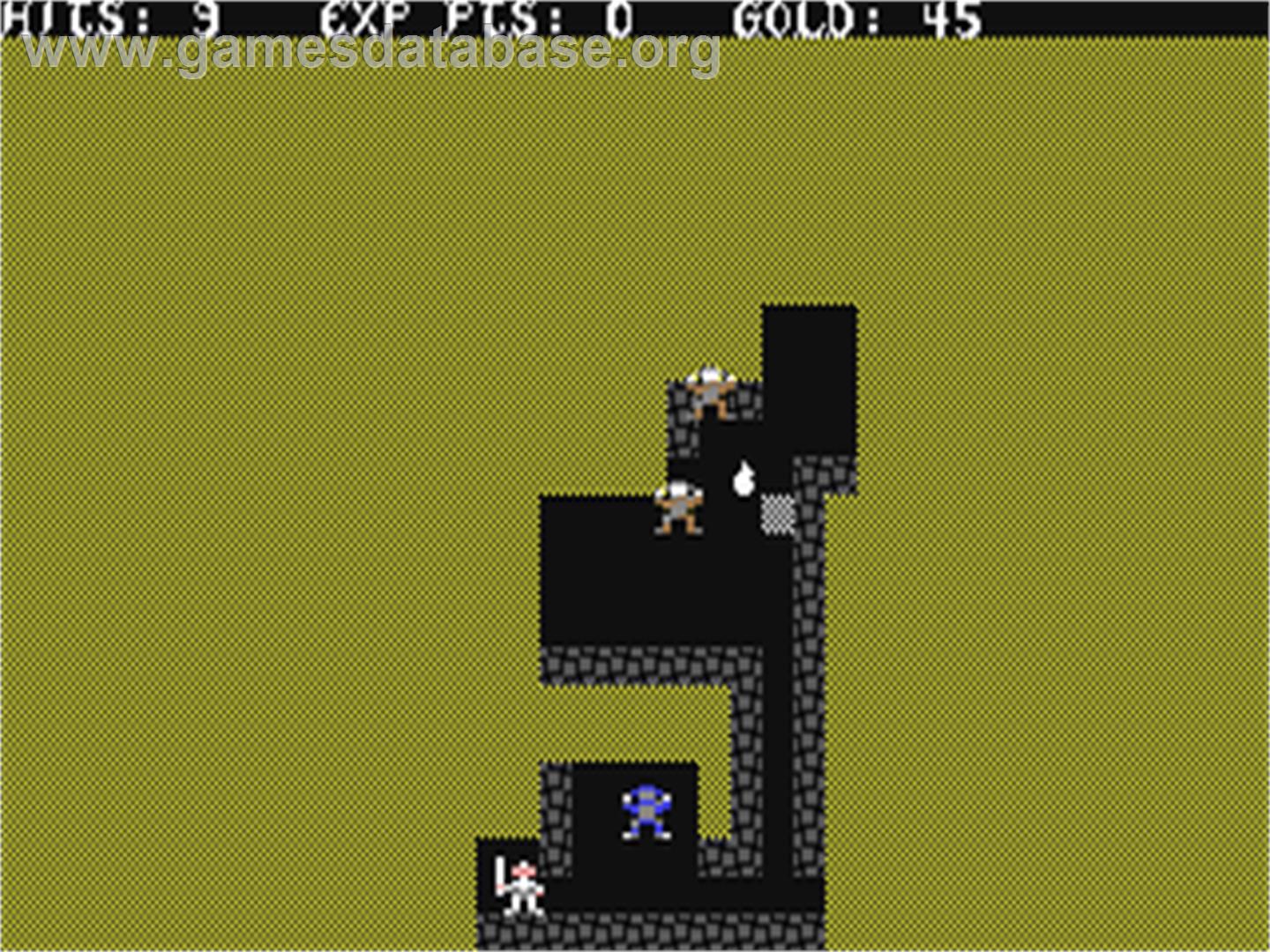 Sword of Fargoal - Commodore 64 - Artwork - In Game