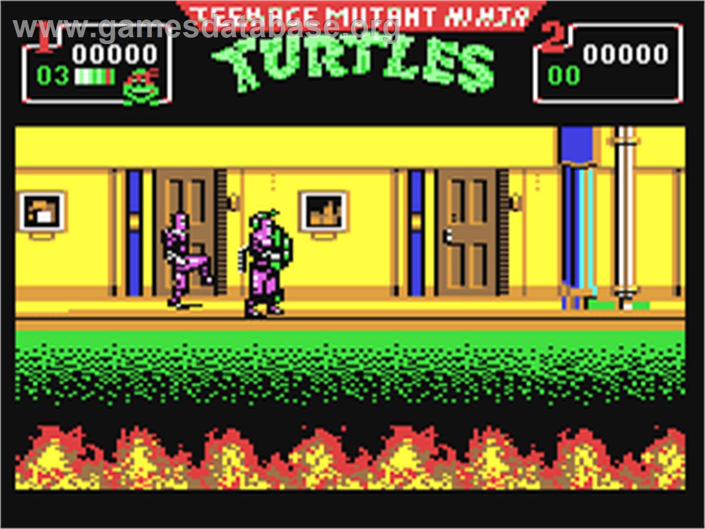 Teenage Mutant Ninja Turtles II: The Arcade Game - Commodore 64 - Artwork - In Game