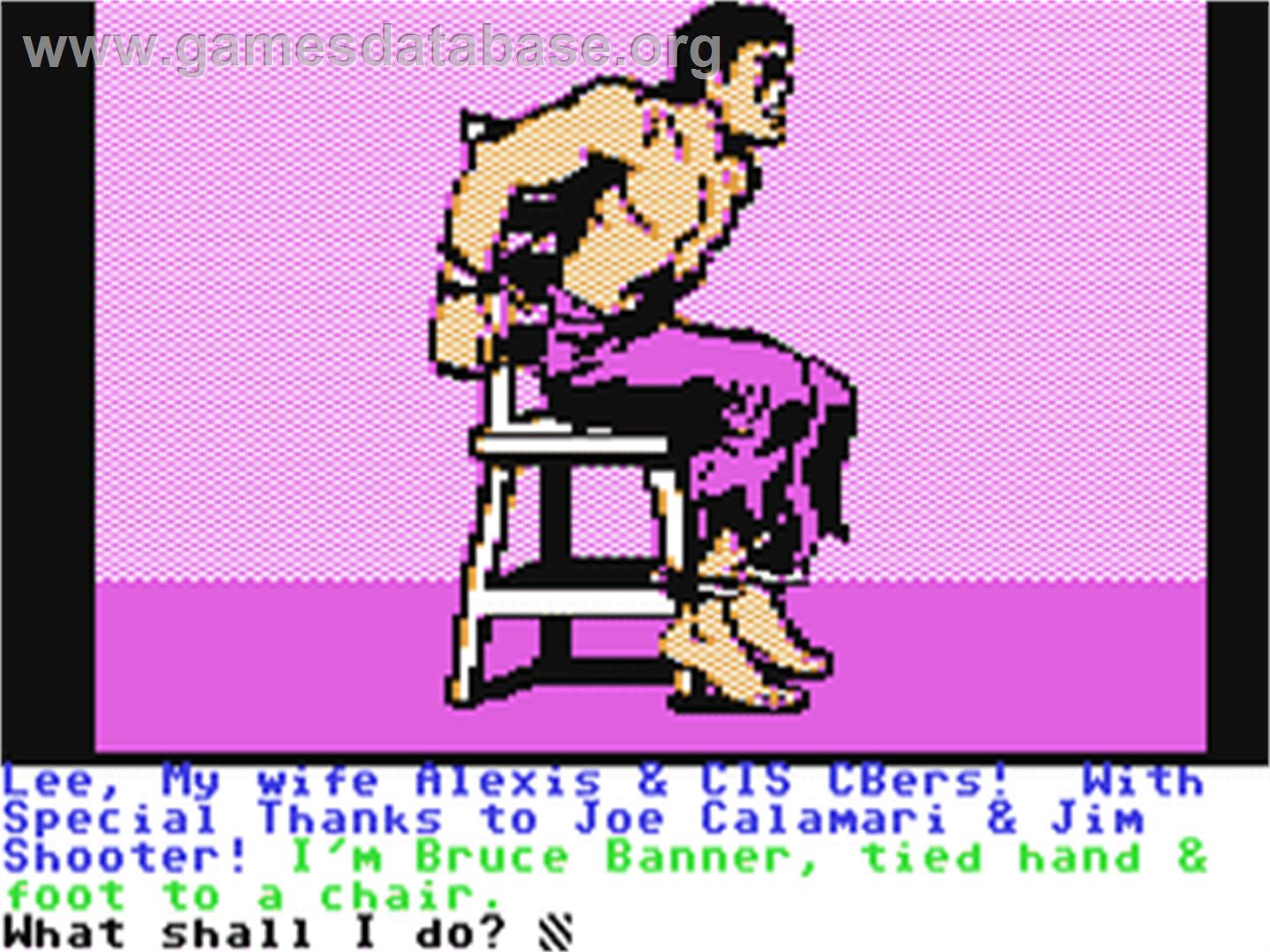The Hulk - Commodore 64 - Artwork - In Game