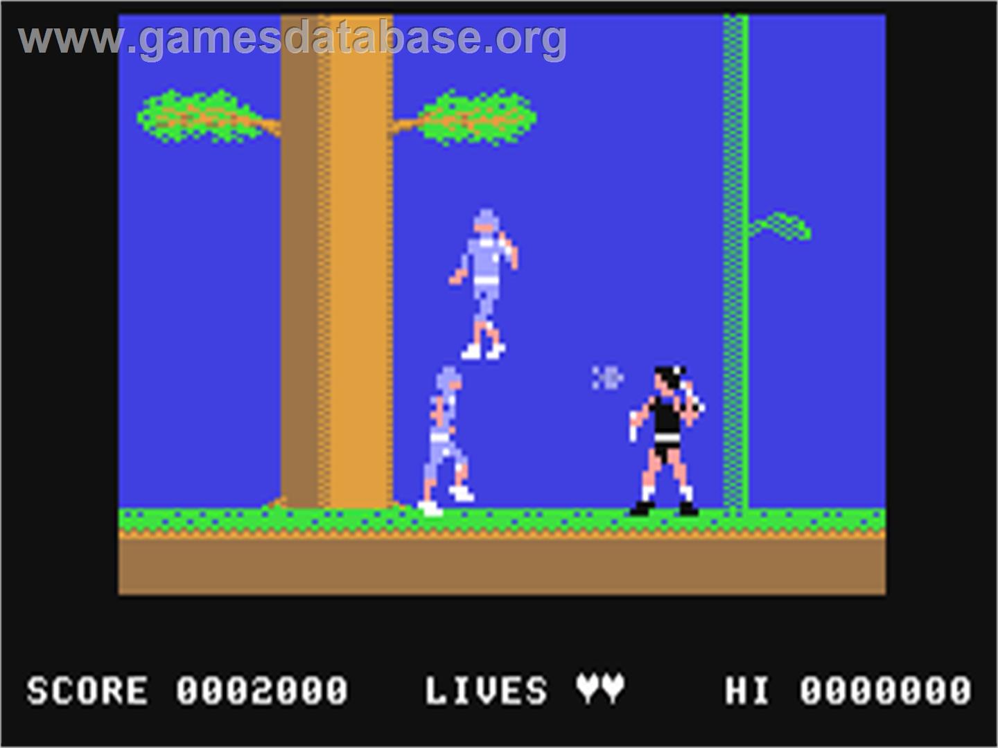 The Legend of Kage - Commodore 64 - Artwork - In Game