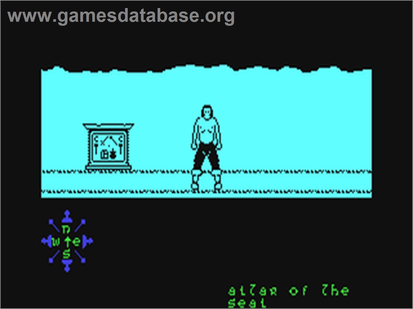Tir Na Nog - Commodore 64 - Artwork - In Game