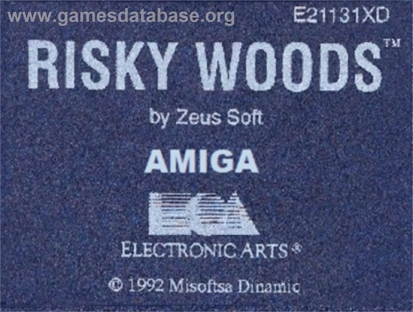 Risky Woods - Commodore Amiga - Artwork - Cartridge Top