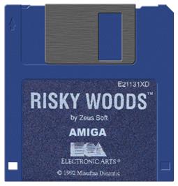 Artwork on the Disc for Risky Woods on the Commodore Amiga.