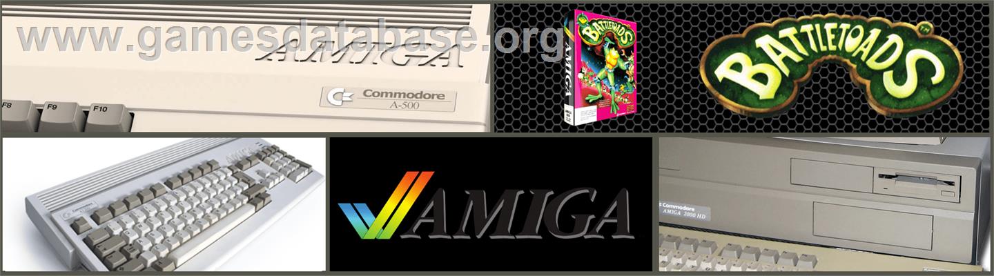 Battle Toads - Commodore Amiga - Artwork - Marquee