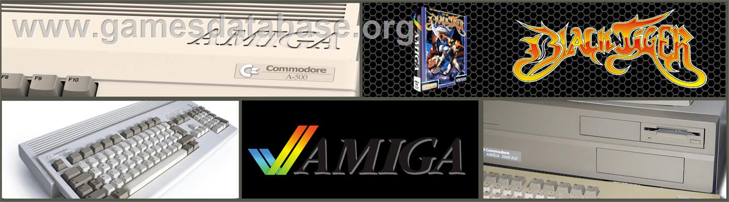 Black Tiger - Commodore Amiga - Artwork - Marquee