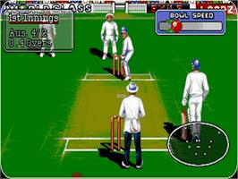 In game image of Allan Border's Cricket on the Commodore Amiga.