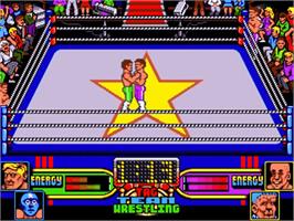 In game image of American Tag Team Wrestling on the Commodore Amiga.