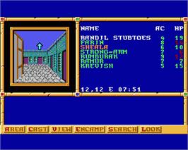 In game image of Gateway to the Savage Frontier on the Commodore Amiga.