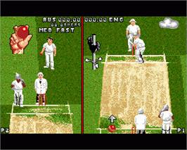 In game image of Ian Botham's Cricket on the Commodore Amiga.