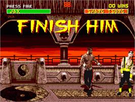 In game image of Mortal Kombat II on the Commodore Amiga.