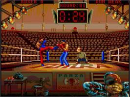 In game image of Panza Kick Boxing on the Commodore Amiga.