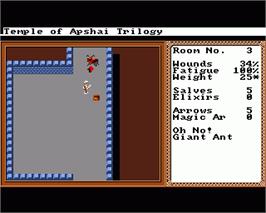 In game image of Temple of Apshai Trilogy on the Commodore Amiga.