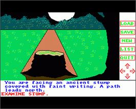 In game image of Transylvania on the Commodore Amiga.