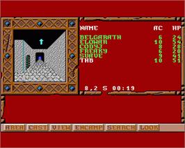 In game image of Treasures of the Savage Frontier on the Commodore Amiga.