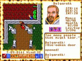 In game image of Ultima VI: The False Prophet on the Commodore Amiga.