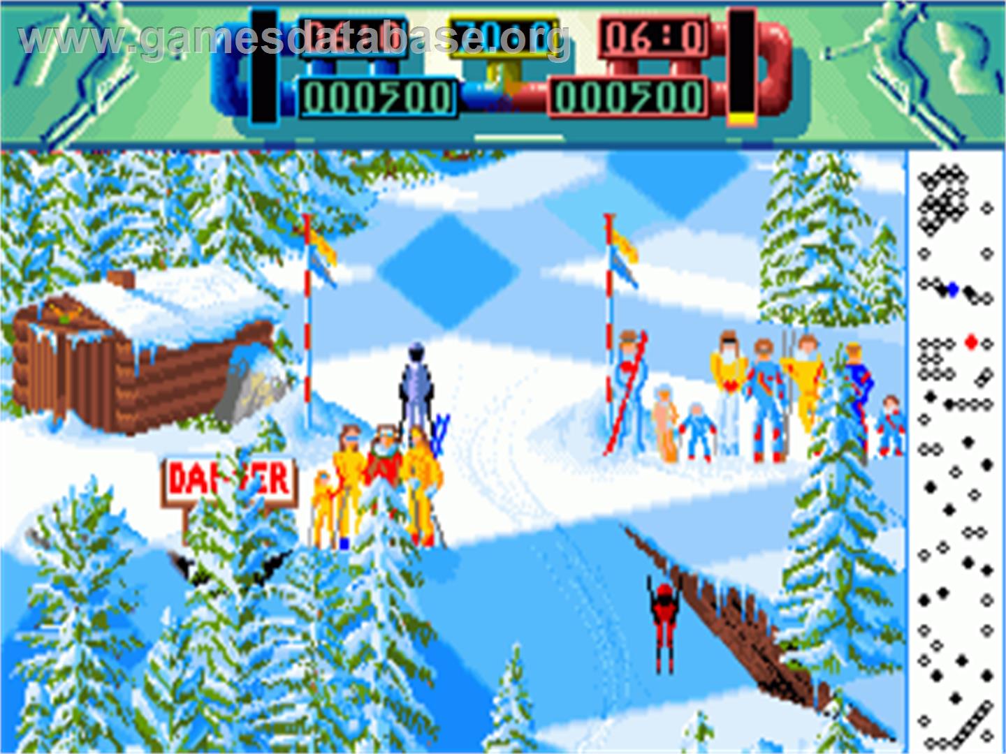 Advanced Ski Simulator - Commodore Amiga - Artwork - In Game