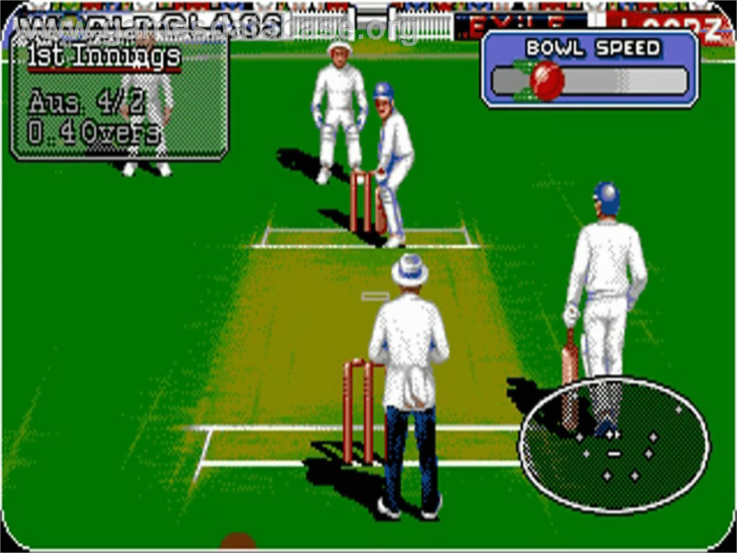 Allan Border's Cricket - Commodore Amiga - Artwork - In Game