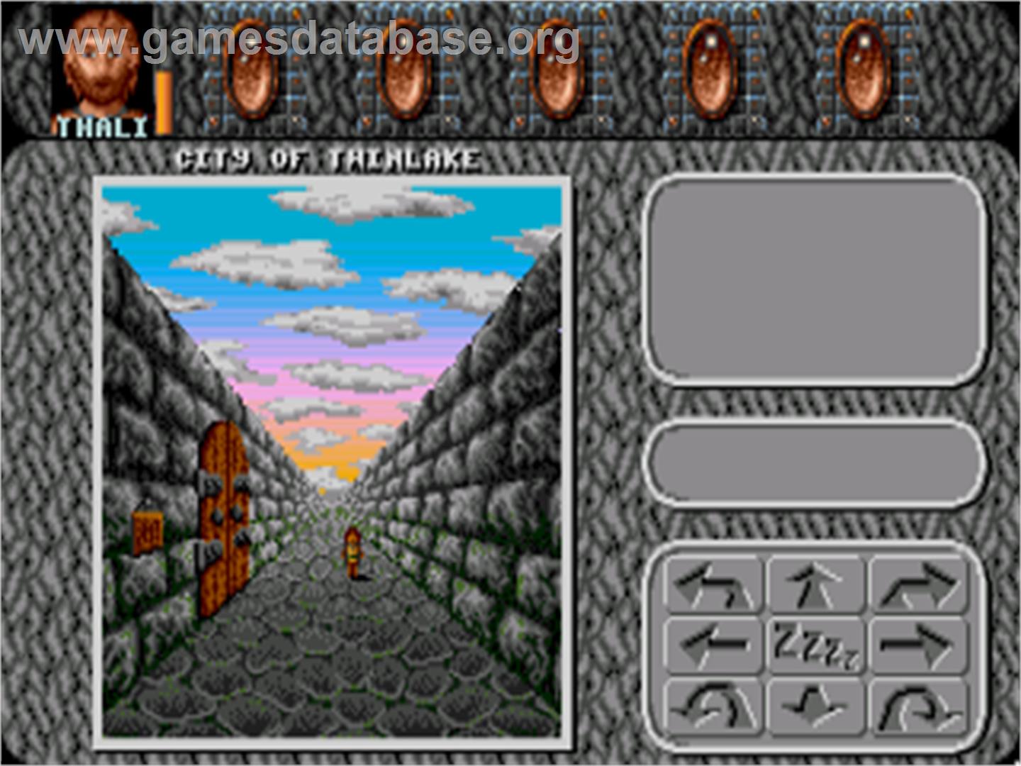 Amberstar - Commodore Amiga - Artwork - In Game