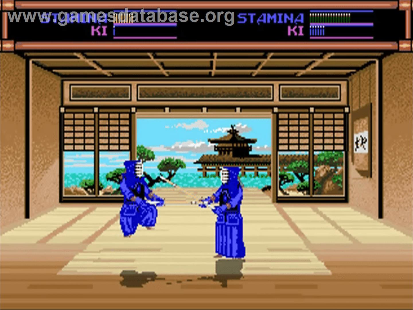 Budokan: The Martial Spirit - Commodore Amiga - Artwork - In Game