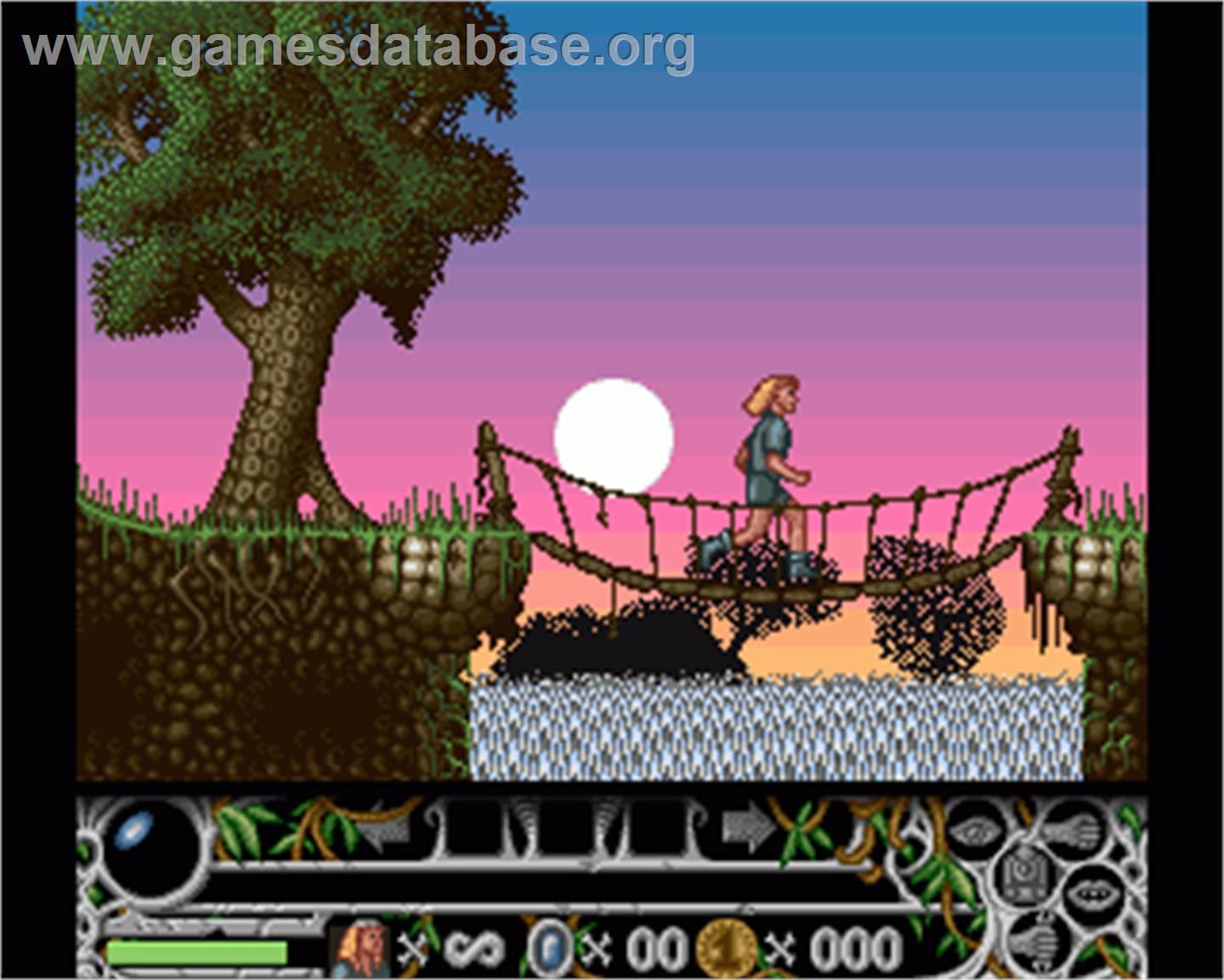 Cedric and the Lost Sceptre - Commodore Amiga - Artwork - In Game