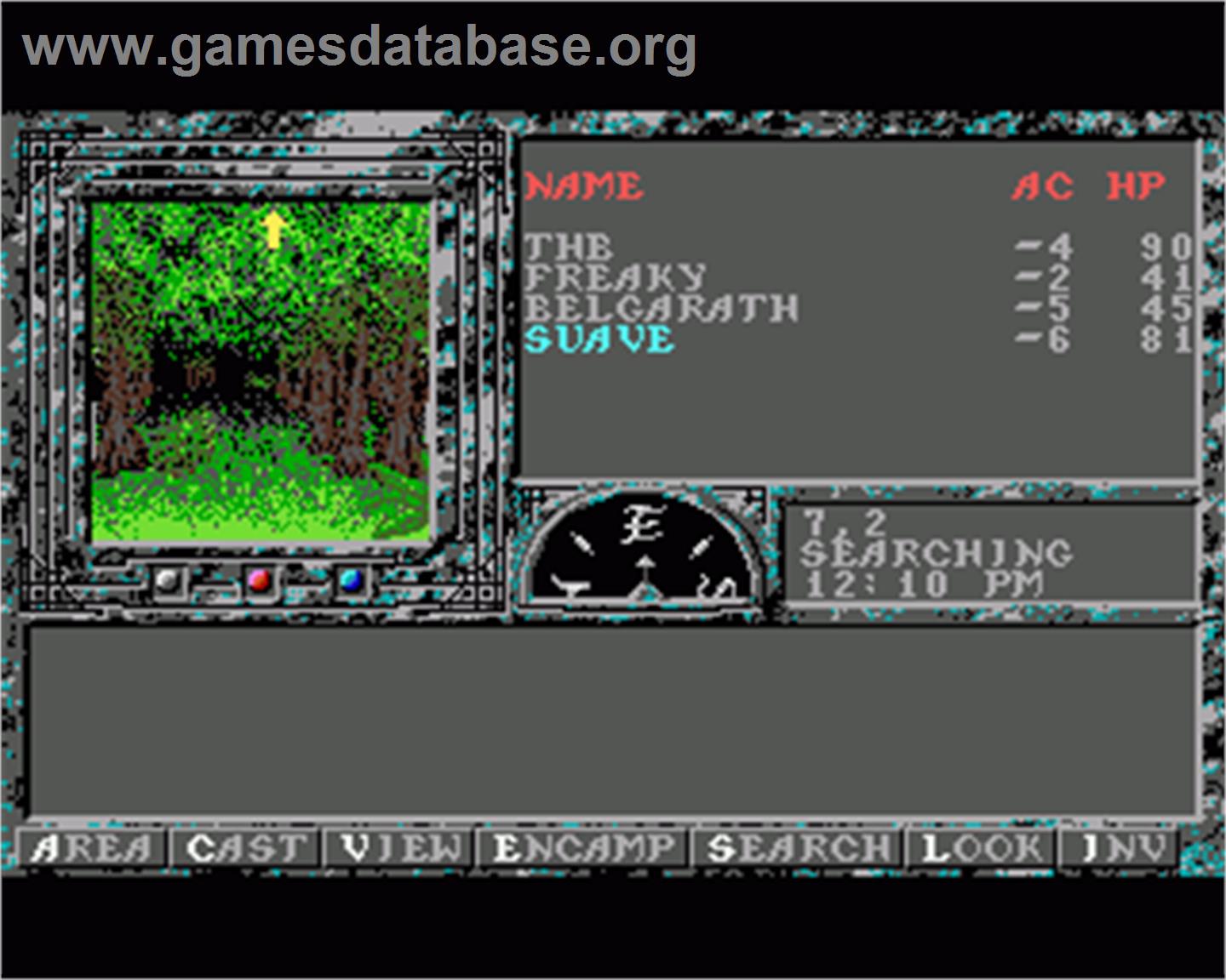 Dark Queen of Krynn - Commodore Amiga - Artwork - In Game