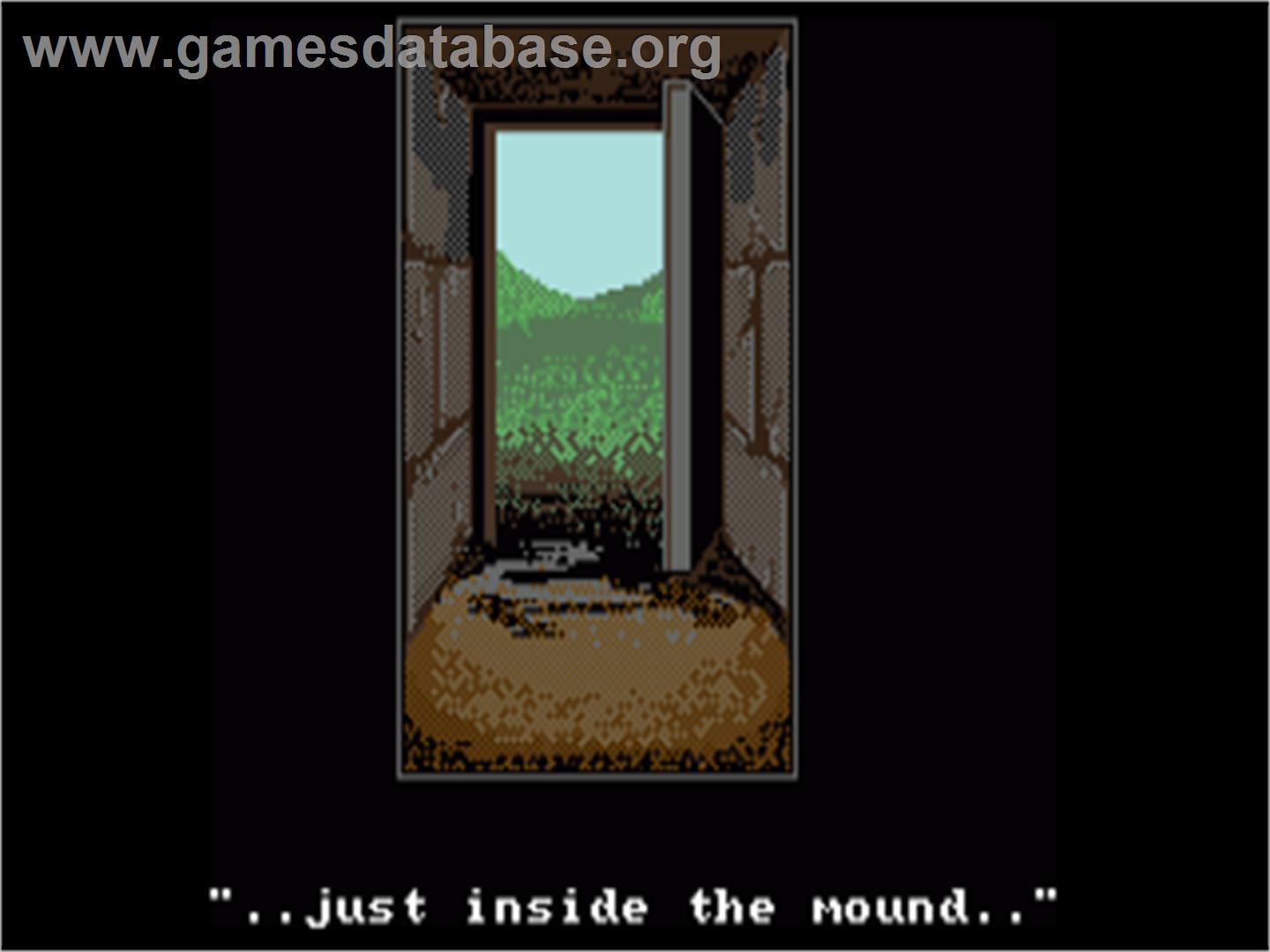 Demon's Tomb: The Awakening - Commodore Amiga - Artwork - In Game