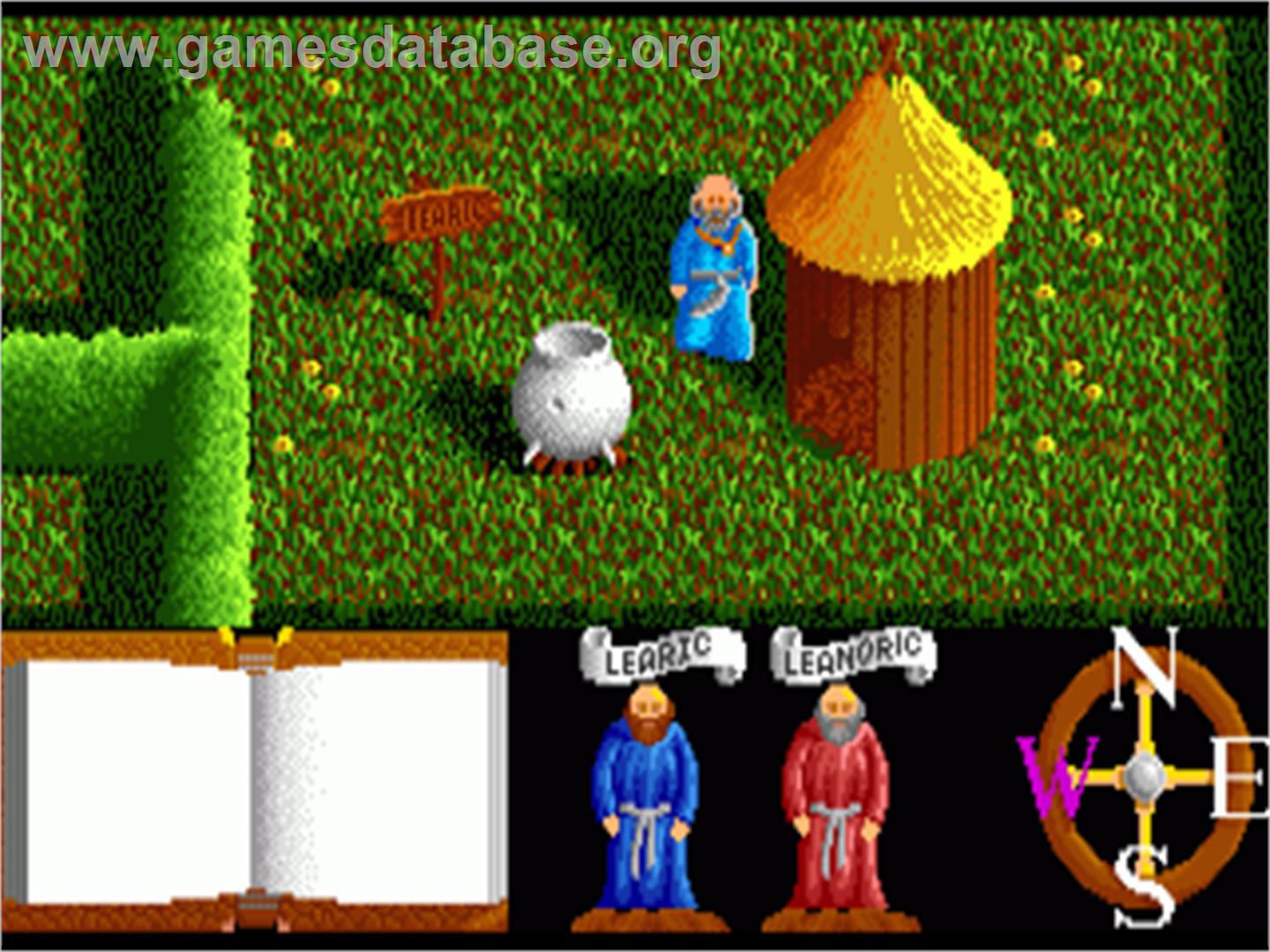 Feud - Commodore Amiga - Artwork - In Game