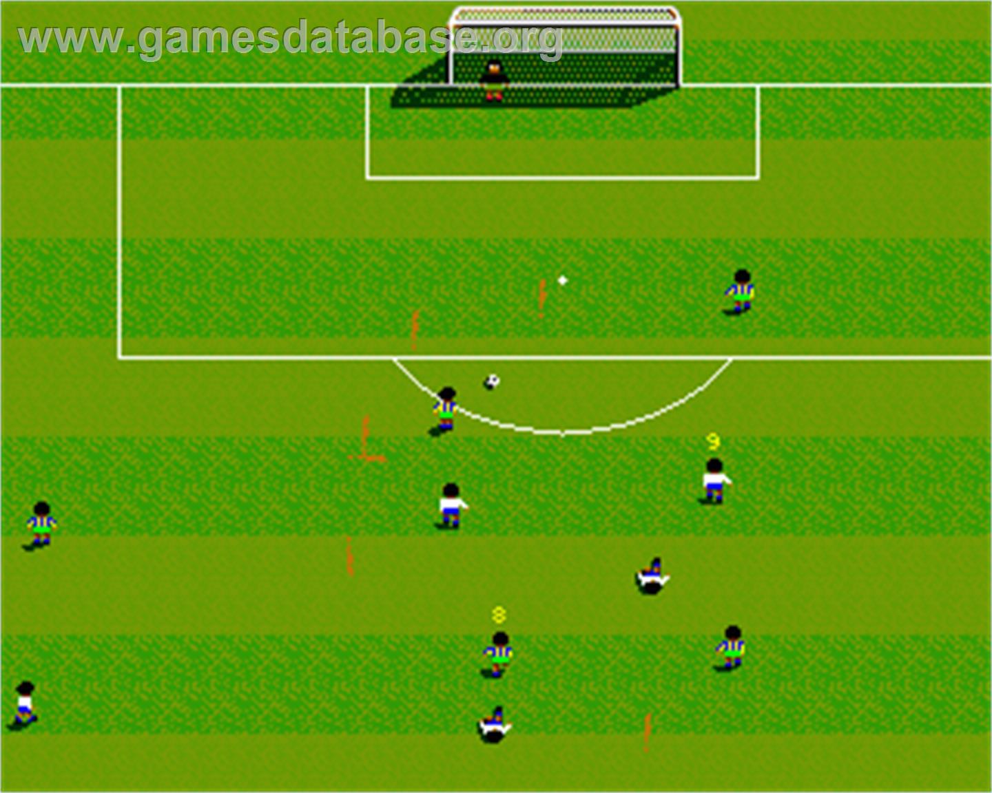Football Glory - Commodore Amiga - Artwork - In Game