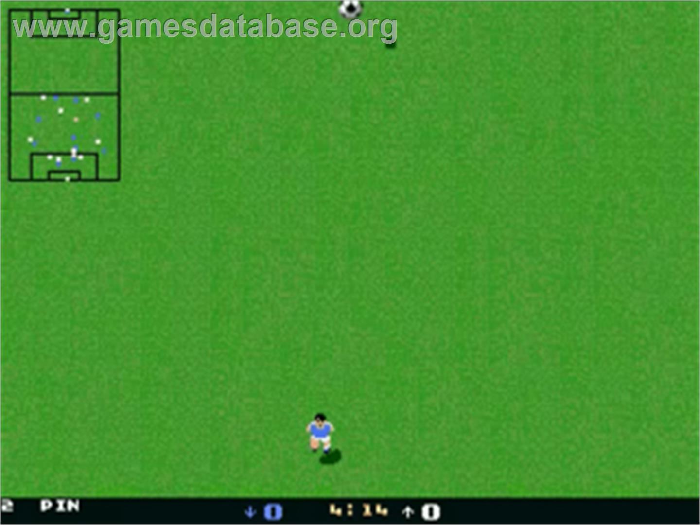 Goal - Commodore Amiga - Artwork - In Game