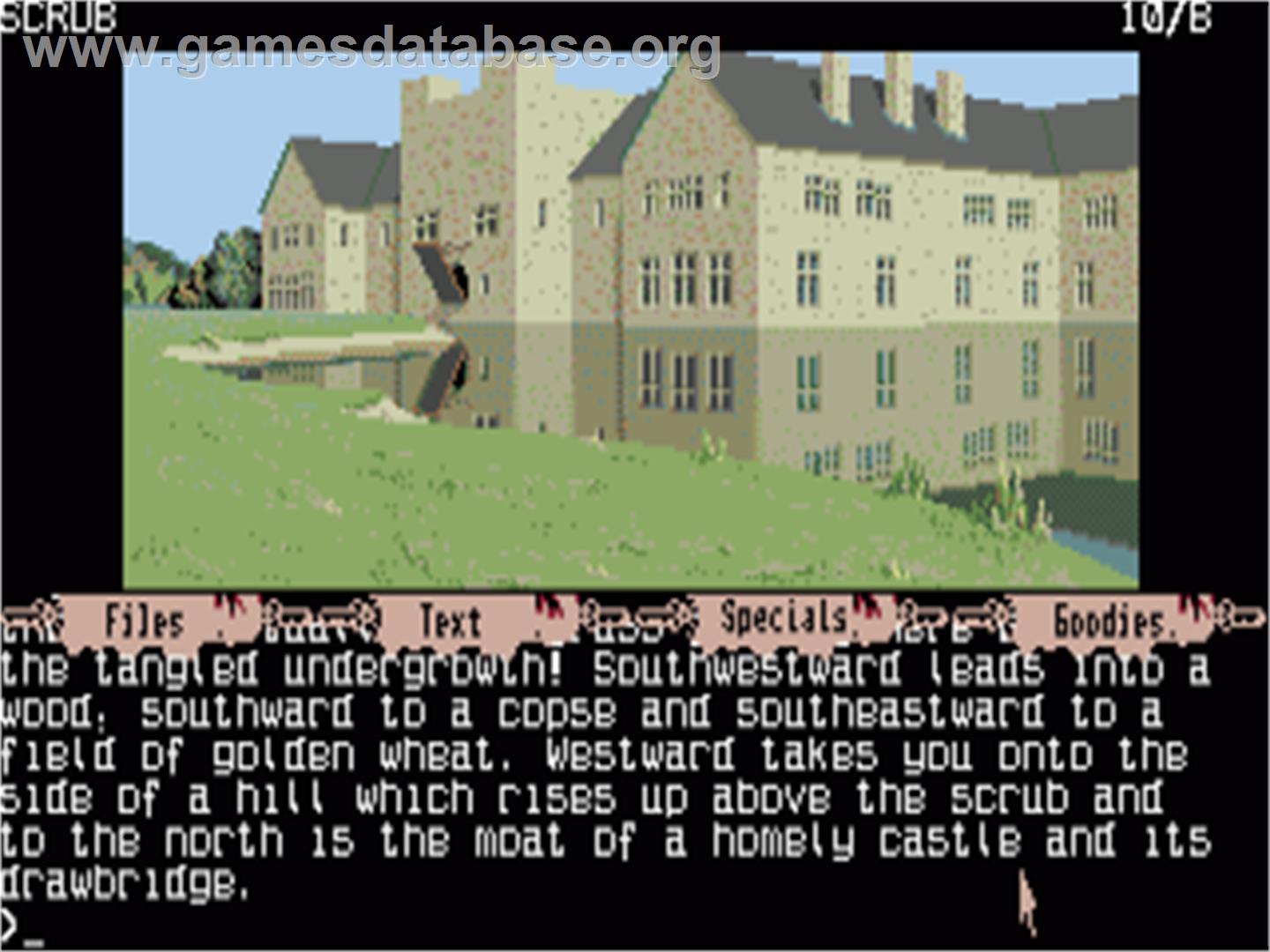 Guild of Thieves - Commodore Amiga - Artwork - In Game