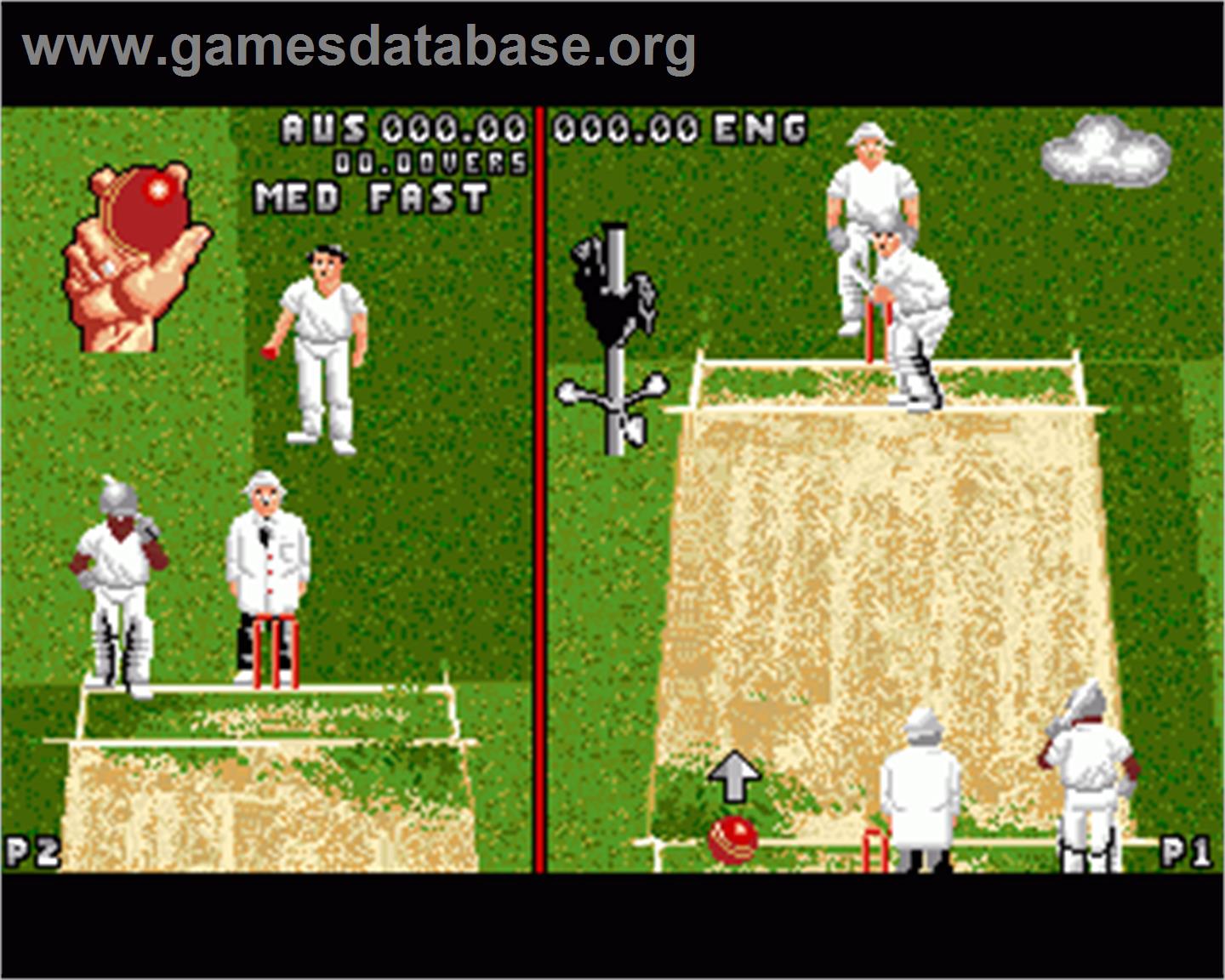 Ian Botham's Cricket - Commodore Amiga - Artwork - In Game