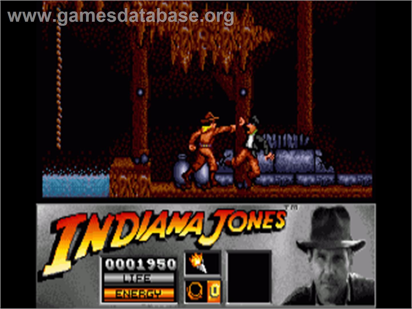 Indiana Jones and the Last Crusade: The Action Game - Commodore Amiga - Artwork - In Game
